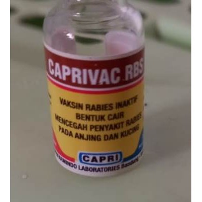 Vaksin rabies inaktif caprivac RBS untuk anjing kucing