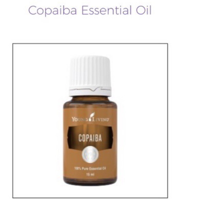 copaiba essentials oil YL 5ml