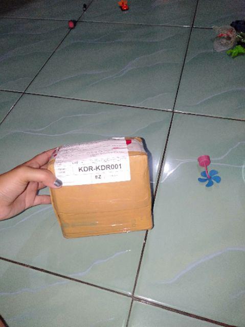 Obat Nyamuk Bakar Cap Zebra Brand