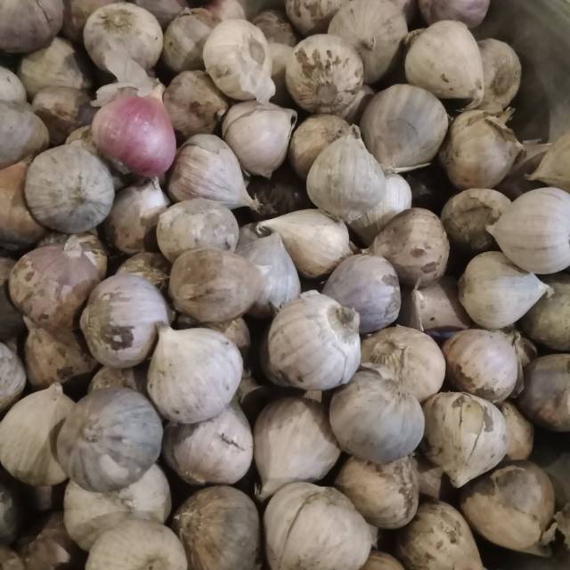 

Bawang lanang Bijian