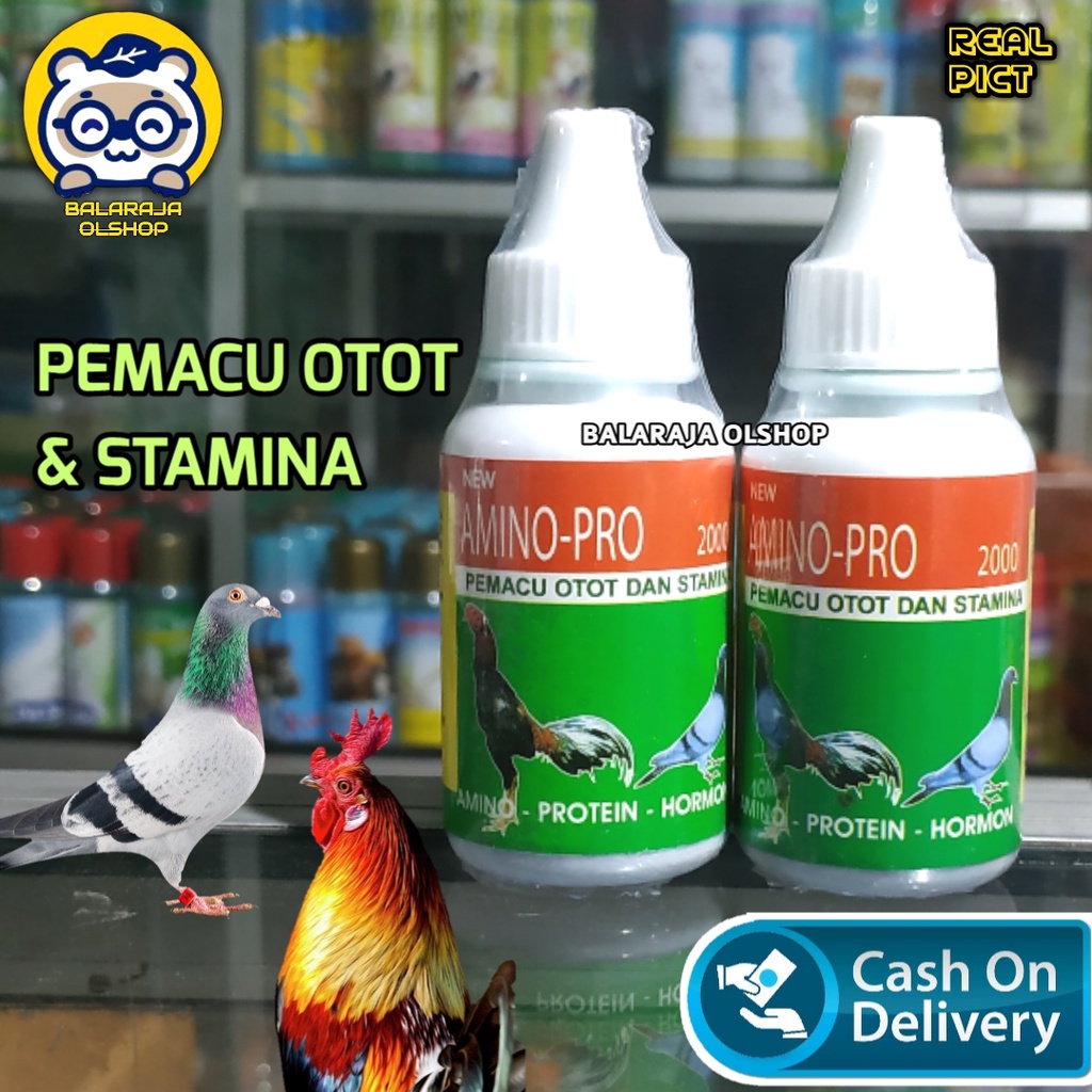 VITAMIN AYAM JAGO PENAMBAH NAFSU MAKAN OBAT BURUNG DARA MERPATI AMINO PRO 2000