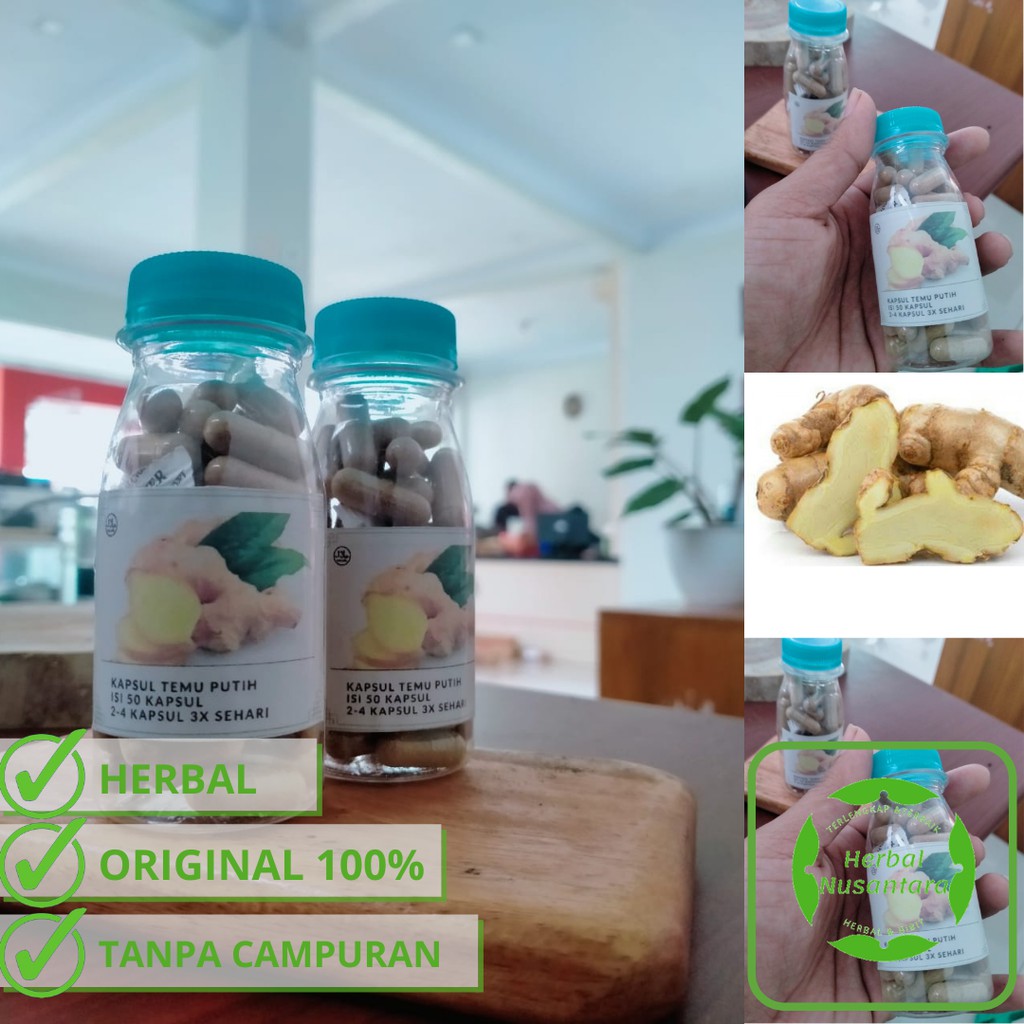 

Kapsul temu putih 100% asli tanpa campuran - obat herbal alami curcuma zedoaria