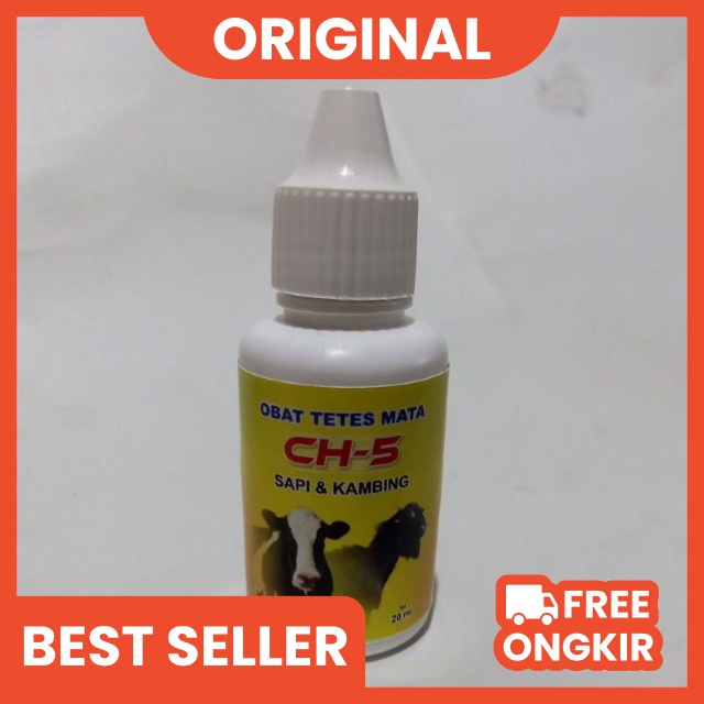 obat tetes mata hewan ternak CH-5 20ml untuk peternakan sapi dan kambing