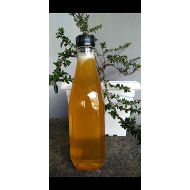 

MADU MULTIFLORA ASLI 500ML MURAH