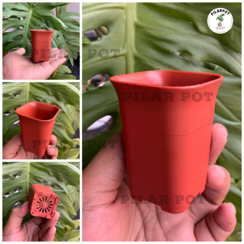 pot bunga tanaman mini nkt kotak juoss 5cm - NKT KOTAK 5 MERAH BATA