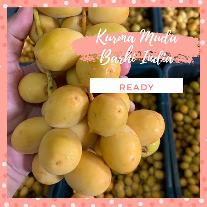 

Kurma Muda 1 Kg Premium Arkanamarketht