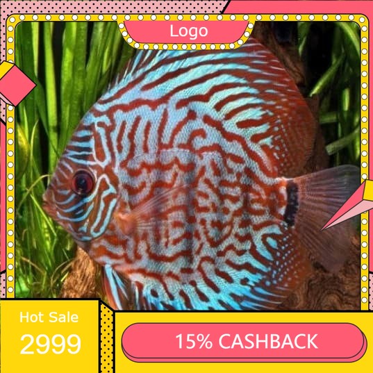 discus red turquoise 1 inch.
