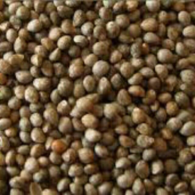 

Organic Perilla seed oil