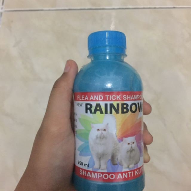 Shampoo Anti Kutu Kucing RAINBOW Cat 250ml Flea and Tick Shampo Sampo