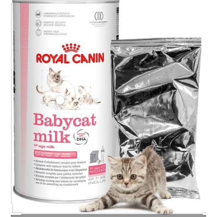 ROYAL CANIN BABYCAT MILK 100GR | PER SACHET