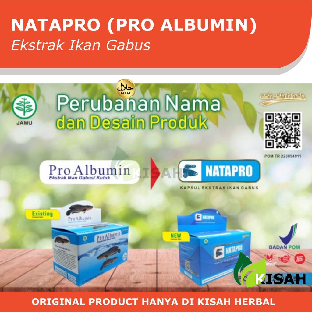 AS SHIHHAH Pro Albumin 50 Kapsul - Albumin Ikan Gabus (Kutuk) Penyembuh dan Penghilang Bekas Luka