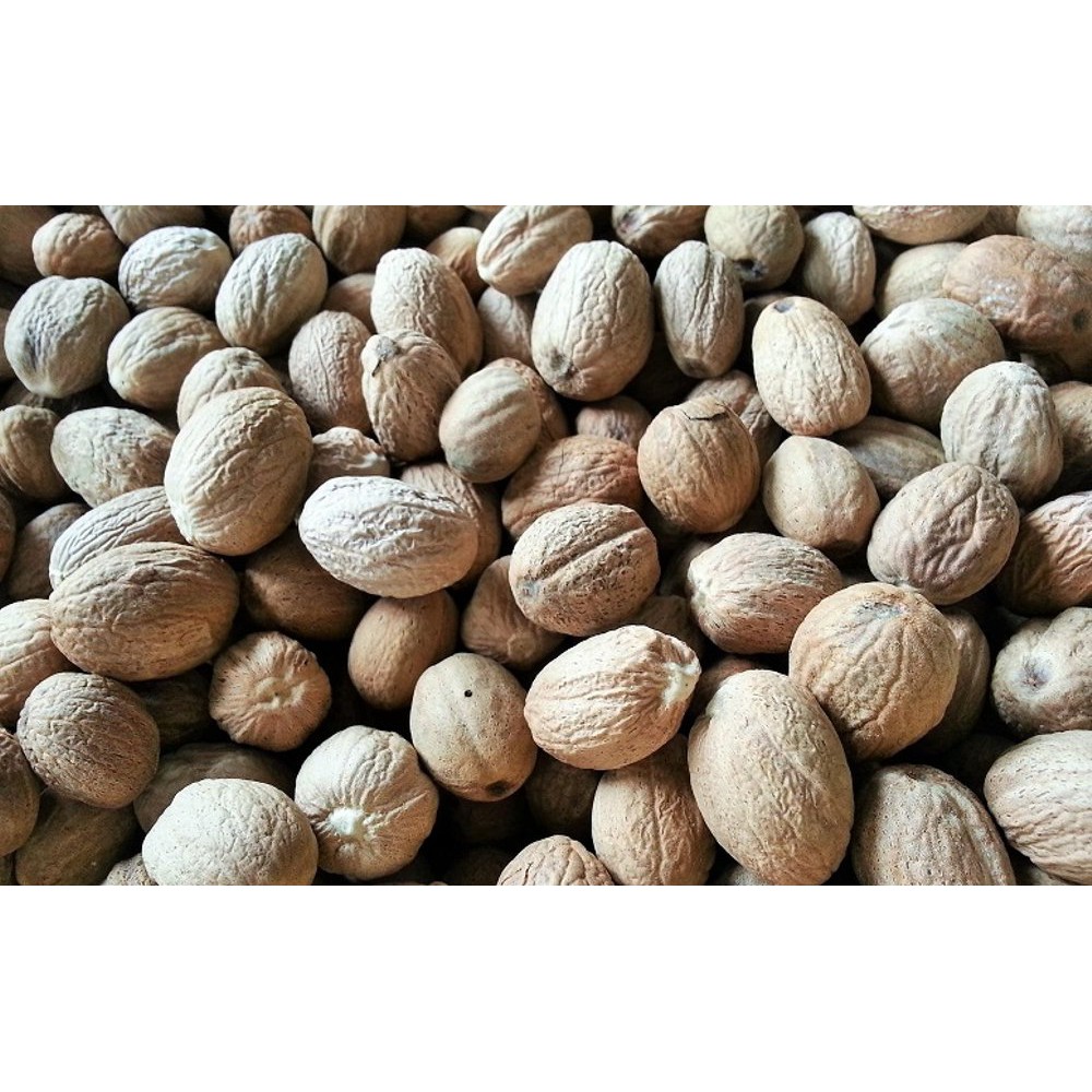 

buah pala super 100 gram termurah