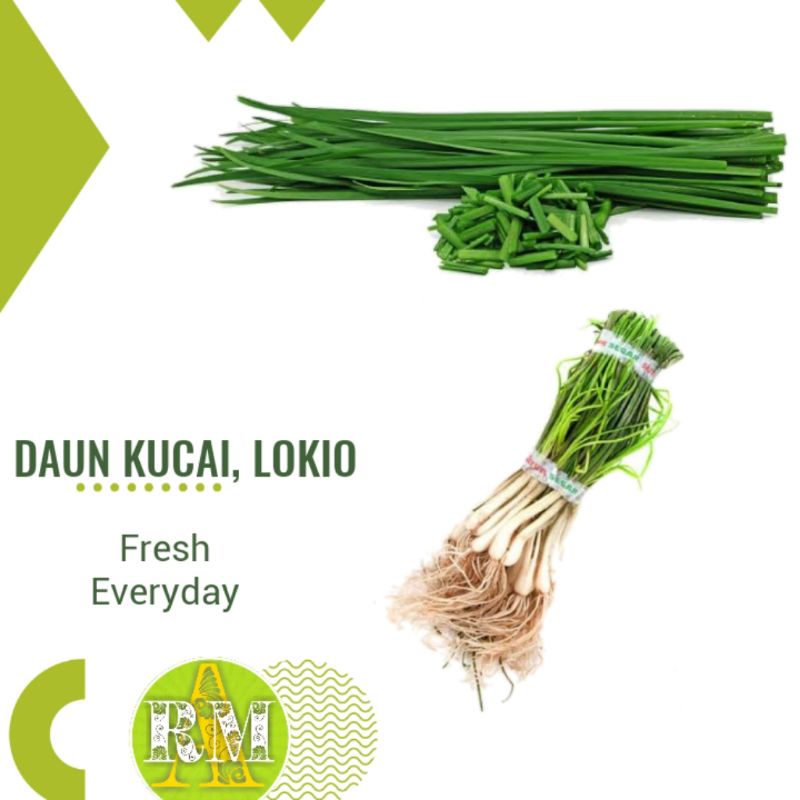 

DAUN KUCAI, LOKIO