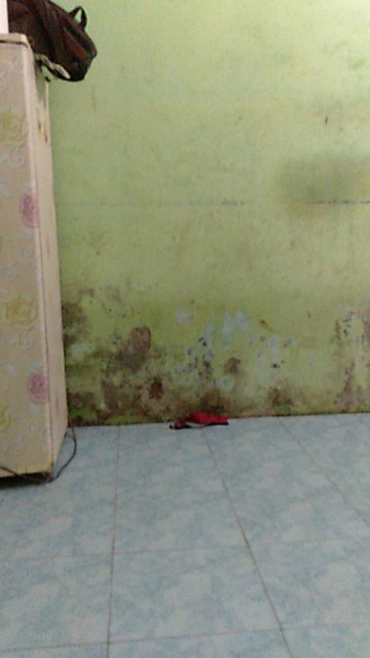 Set Batik Sabila Setelan Batik Katun Anak Baju Batik Anak Murah