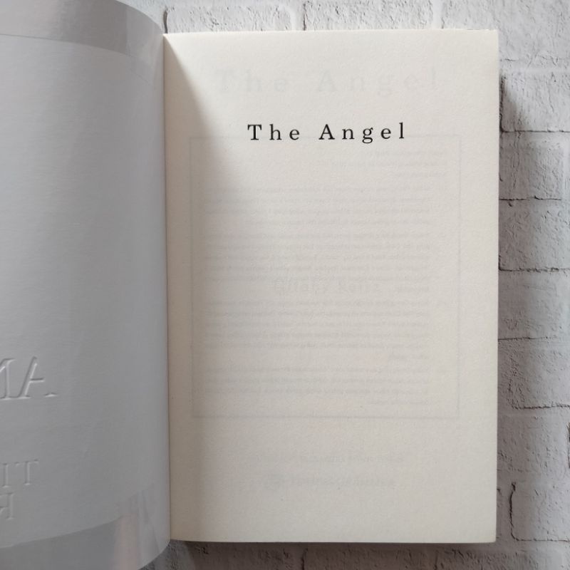 Novel bekas the angel by tiffany reisz