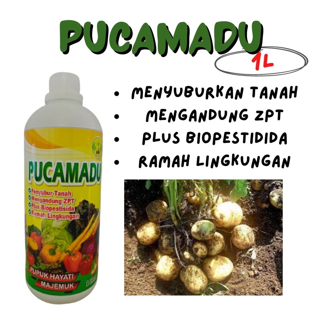 Pupuk Kentang Hayati Majemuk Pelebat Pembesar Buah + Fungisida Bakterisida Tanaman