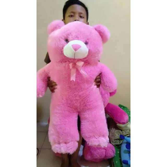 boneka Termurah Tedy jumbo 80cm