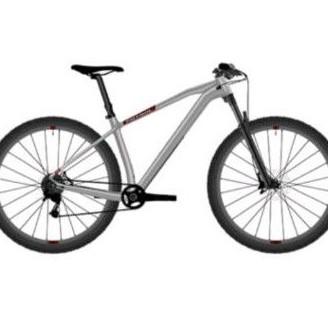 Sepeda Gunung mtb 29 Inch Patrol C092 2021