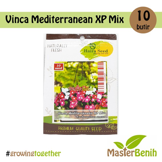 Benih Bunga Vinca Gantung