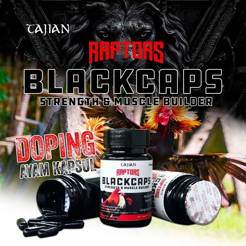 Doping Kapsul Ayam Aduan Pisau Laga - RAPTORS BLACKCAPS 30 Kapsul