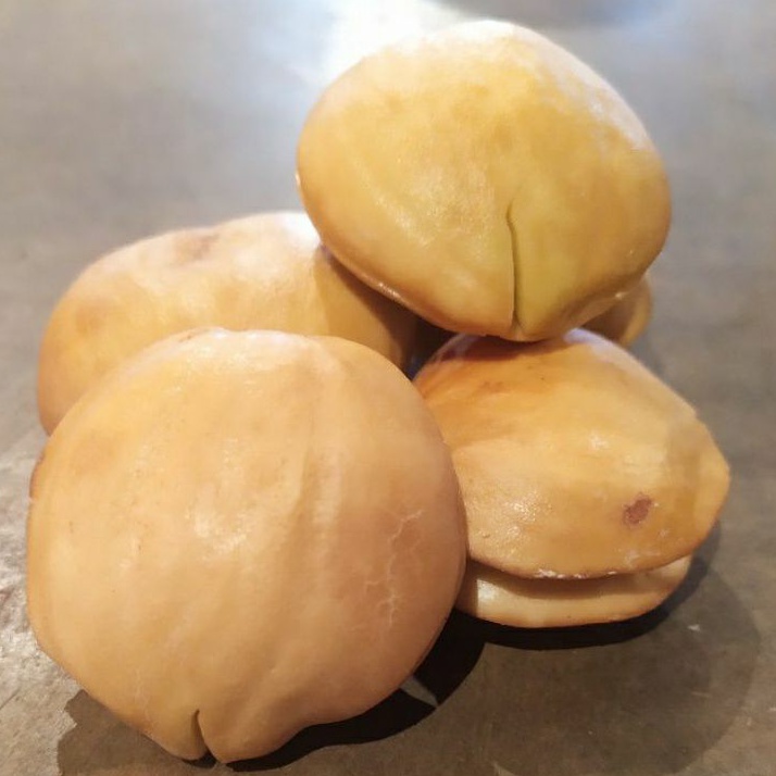 

Jengkol Jepara Asli Pulen 500gr