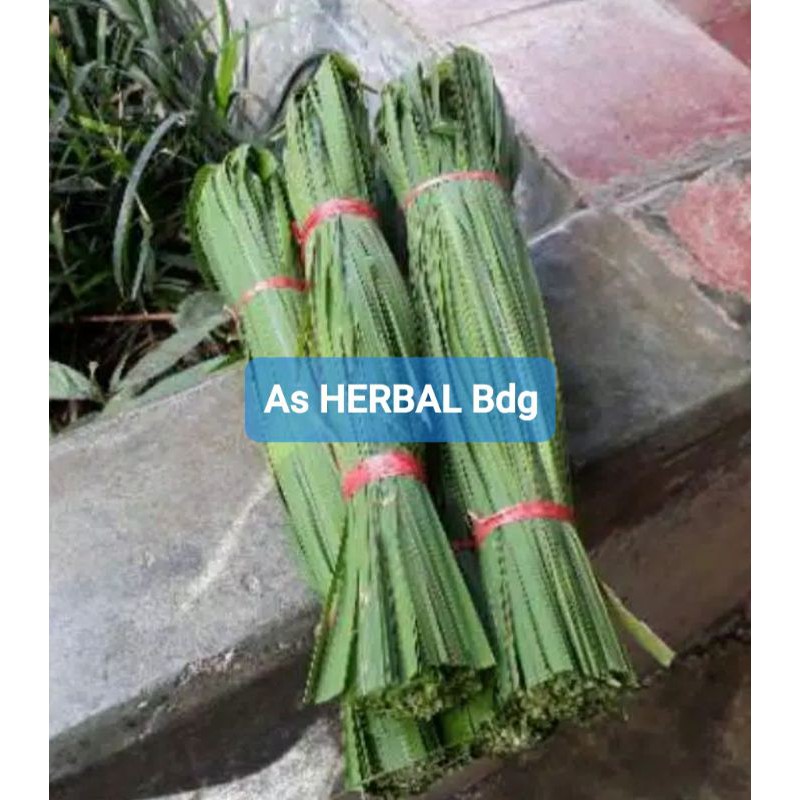 

Daun alang alang Kondisi Segar per 1 Kg-az