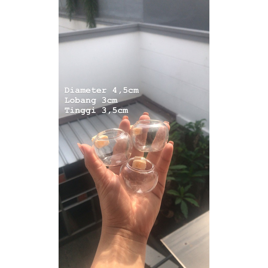 Cepuk branjangan cungkok transparan
