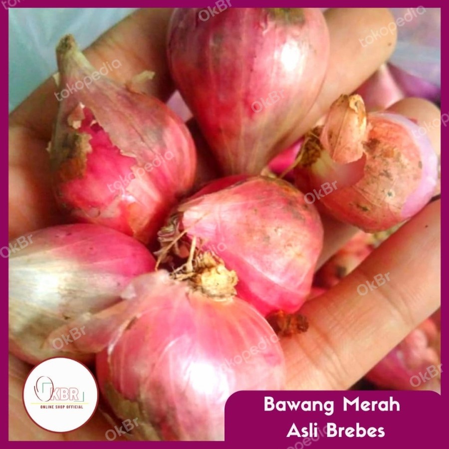 

Bawang Meras Asli Brebes