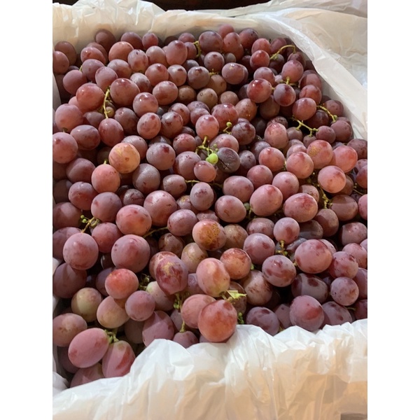 

GRAPE RED IMPORT