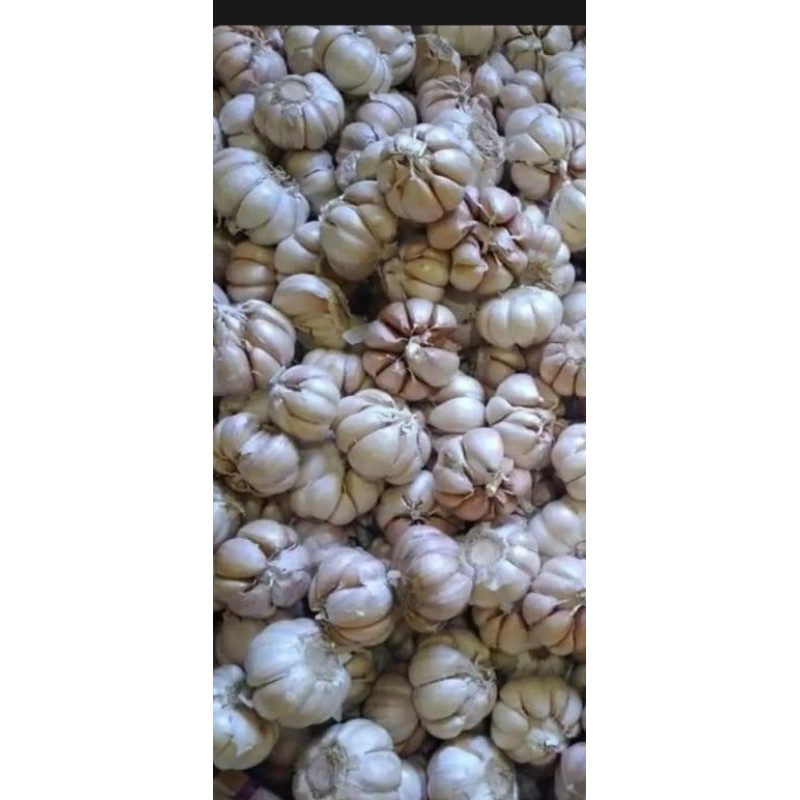 

Bawang Putih 500gr