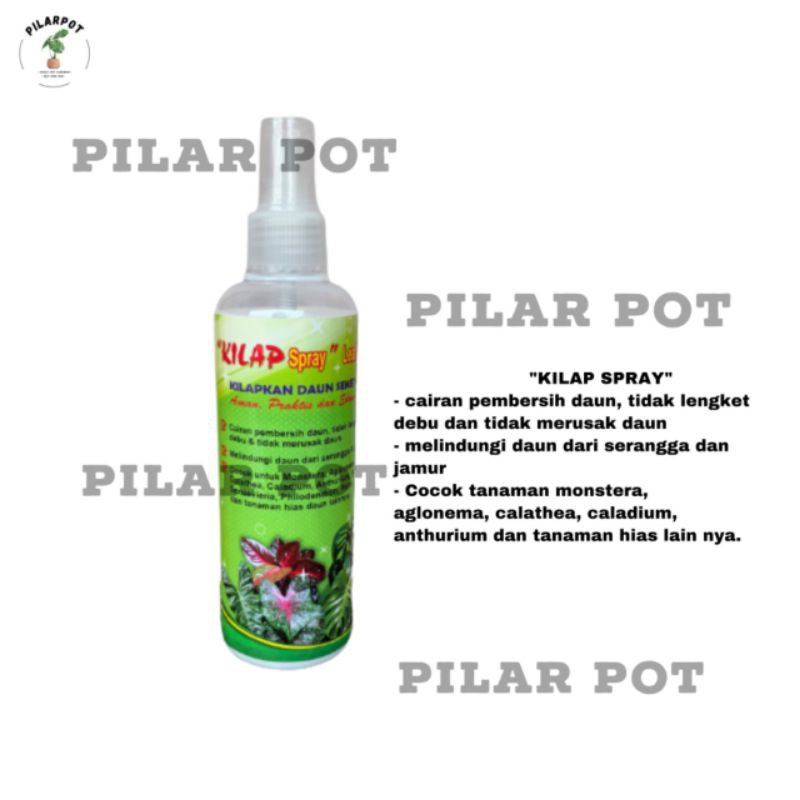 kilap leafshine spray 250 ml pengkilat daun siap pakai - KILAP BESAR