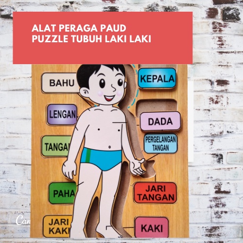 jual mainan alat peraga puzzle edukasi anatomi tubuh laki laki anak tk paud