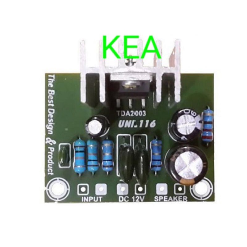 Kit Power Amplifier Mini TDA 2003 Mono