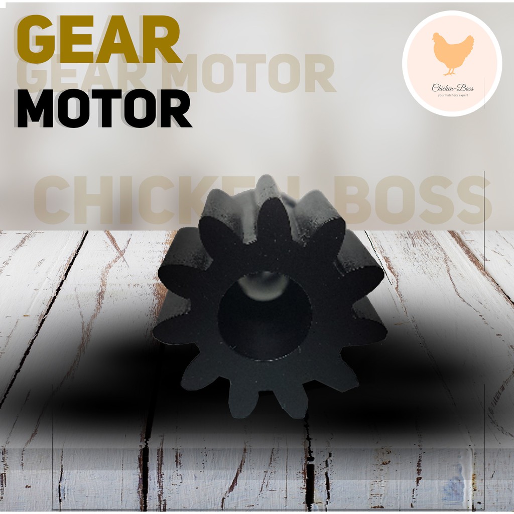 Gear Motor Mesin Tetas Telur