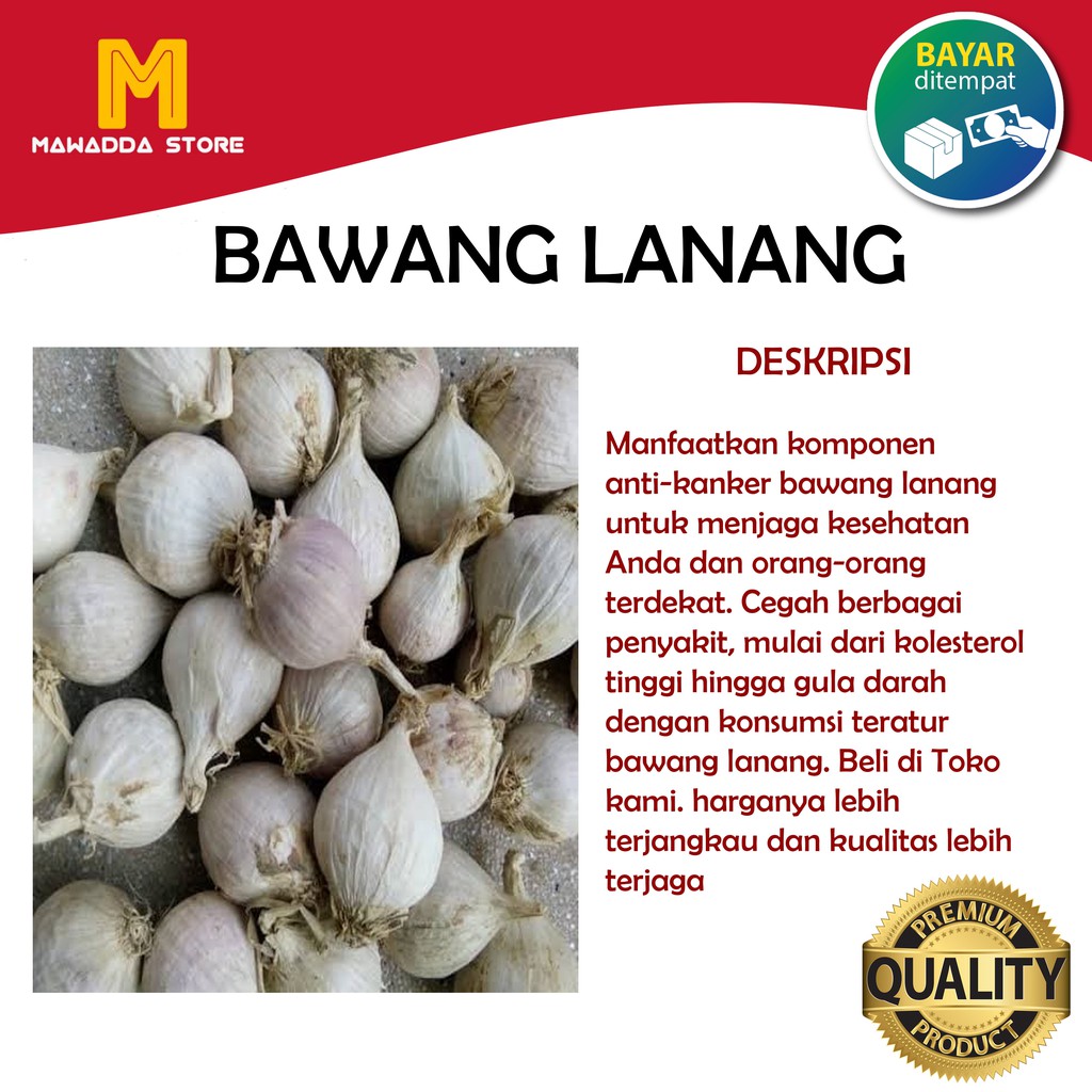 

Bawang Lanang Tunggal Putih 250gram