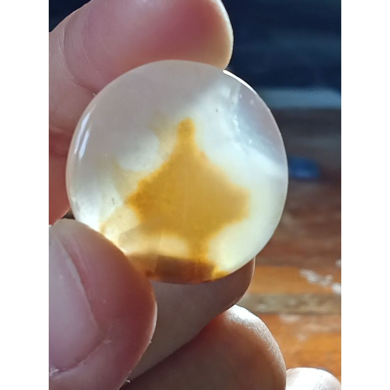 natural akik motif gambar kantong semar