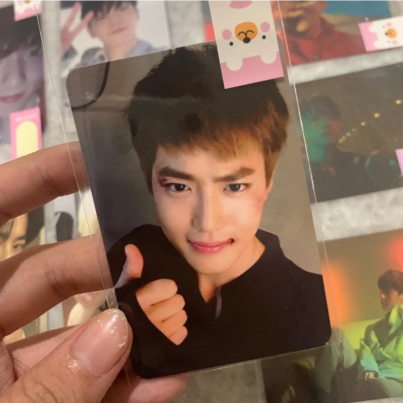 Official EXO Suho Photocard Photo Card PC Poca Album Ready Self Potrait Sing For You For Life DFTF