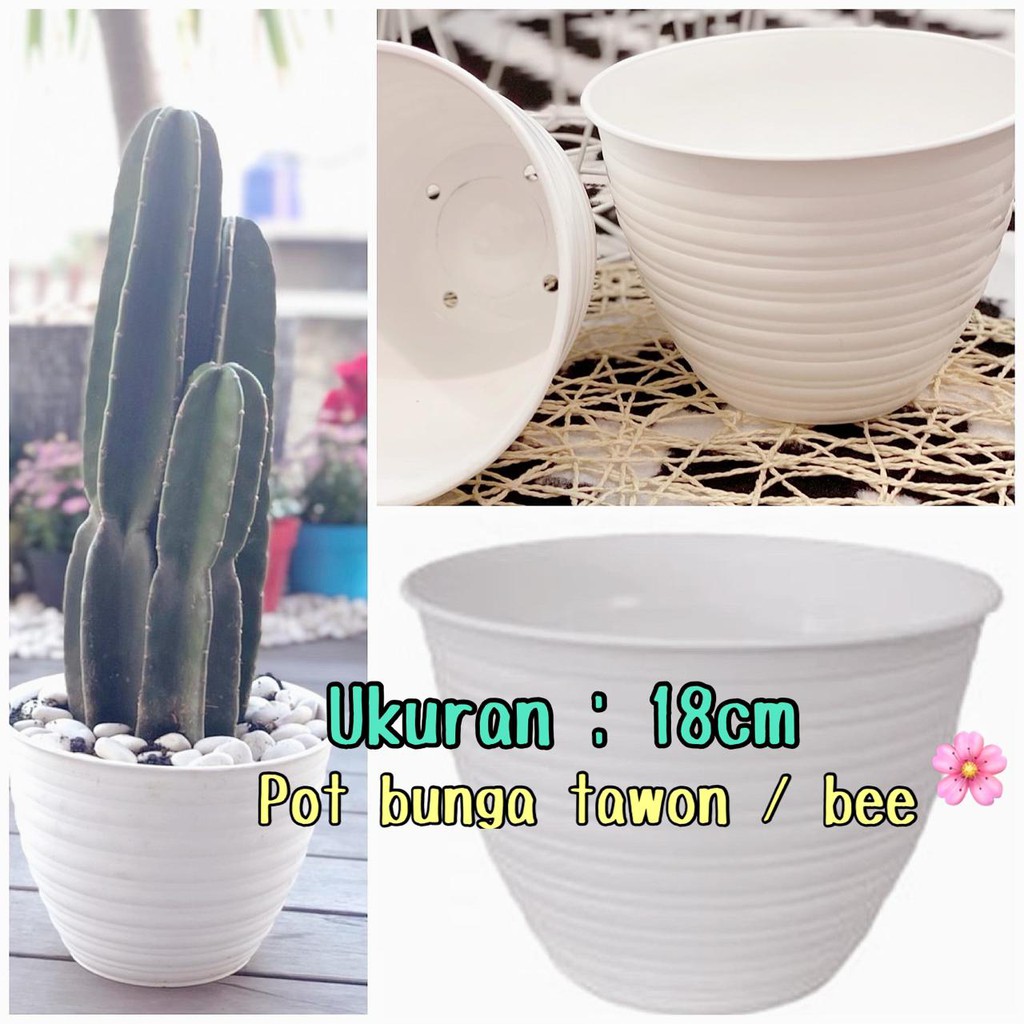 SALE POT TAWON 18 CM PUTIH MADU PLASTIK VAS POT BUNGA BULAT - BUKAN POT KW MADU YAH MURAH