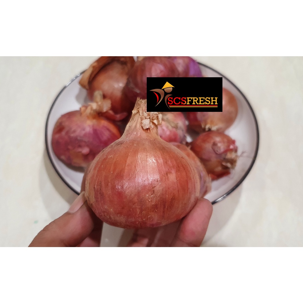 Bawang Merah Besar / Bawang Merah Peking / Bawang India / Pakistan Kualitas Super 1Kg