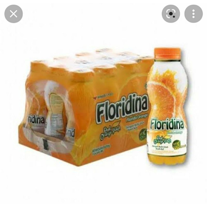 

Floridina 350 ml (1pack isi 12 botol)