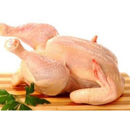 

AYAM POTONG BOILER UTUH MURAH MURSIDA