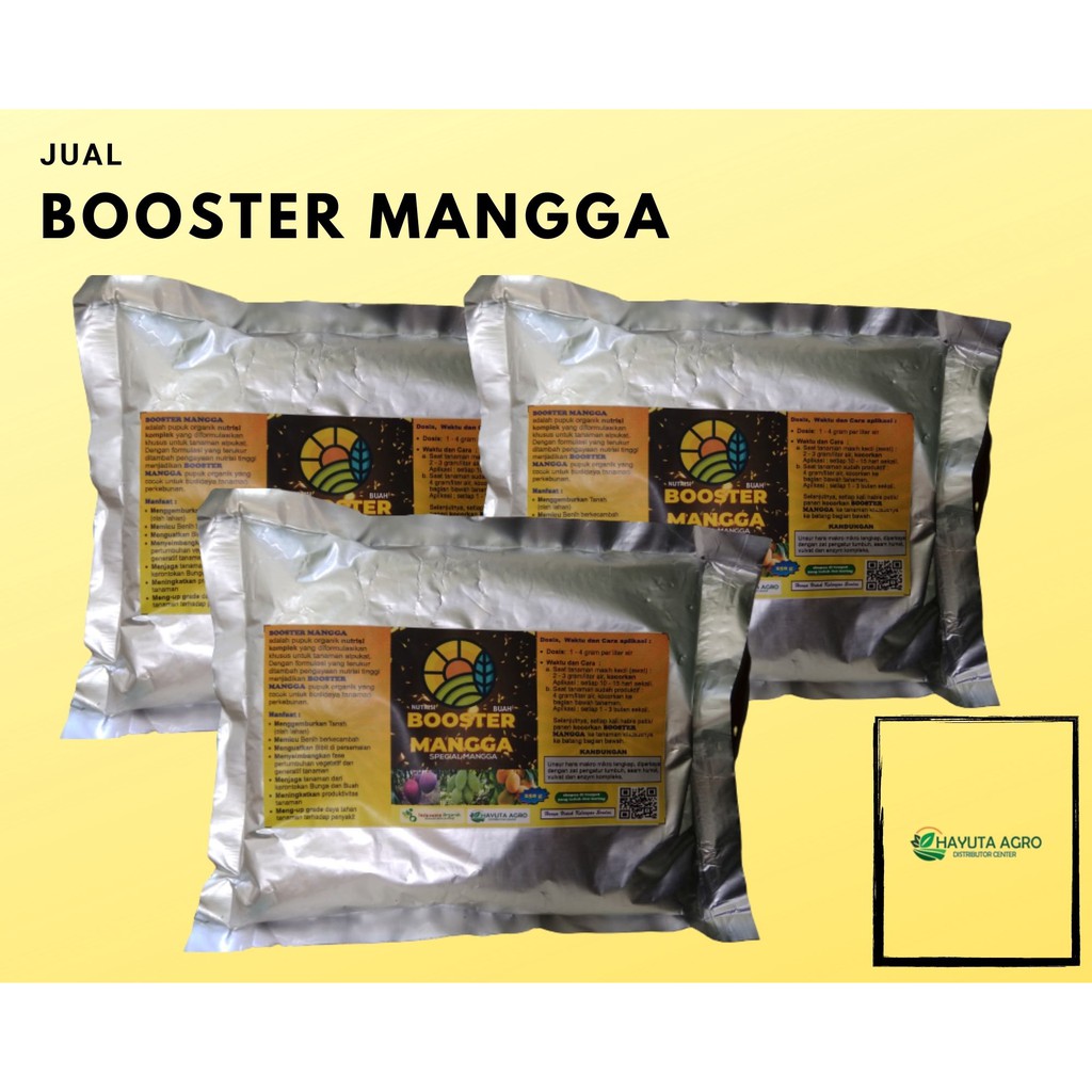 Pupuk Buah Mangga, Booster Mangga Organik, Nutrisi Mangga Cepat Berbuah dan Berbuah Lebat