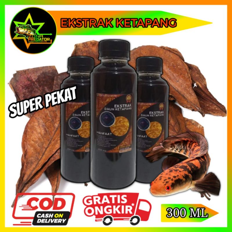 EKSTRAK KETAPANG SUPER PEKAT 300ML