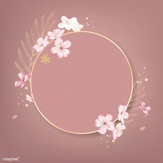 nopita43