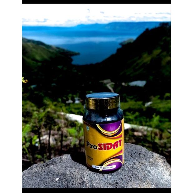 Pro SIDAT (Bio SIDAT) Minyak Ikan Sidat meningkatkan kecerdasan otak dan daya serta untuk kesehatan 