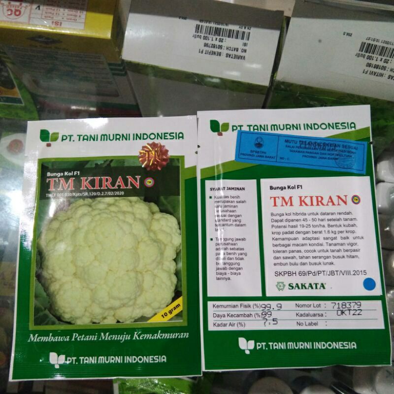 Benih bunga kol/bungkul TM KIRAN 10gr