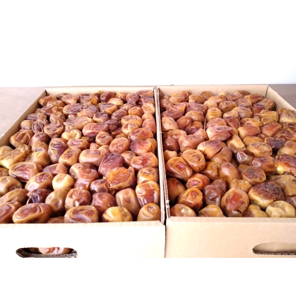 KURMA SUKARI 1 KG KURMA SUKARI AL QOSSIM