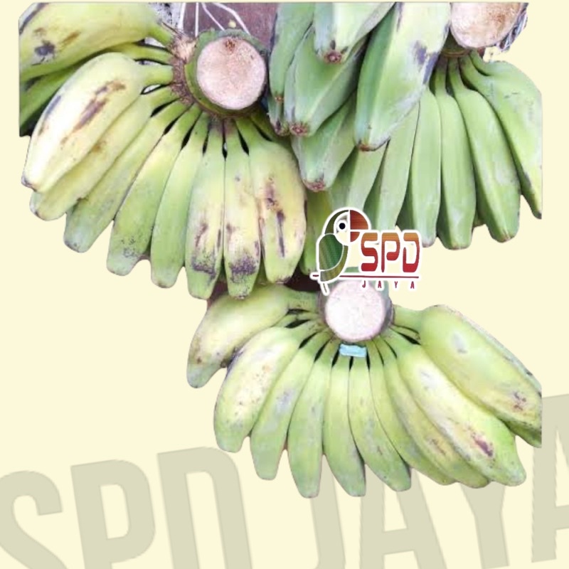 PISANG KEPOK 1 SISIR