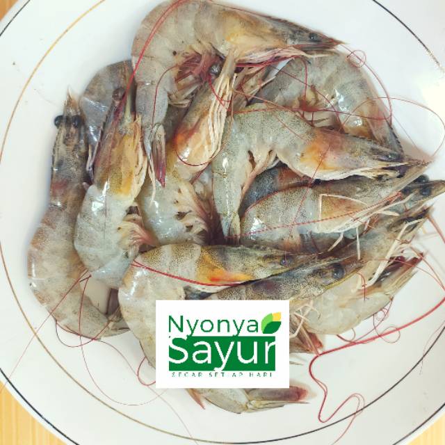 

Udang Segar