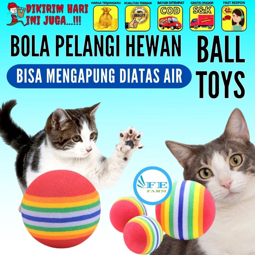 RAINBOW BALL MAINAN BOLA KUCING KITTEN ANJING DOG TOYS CAT TOYS FEFARM